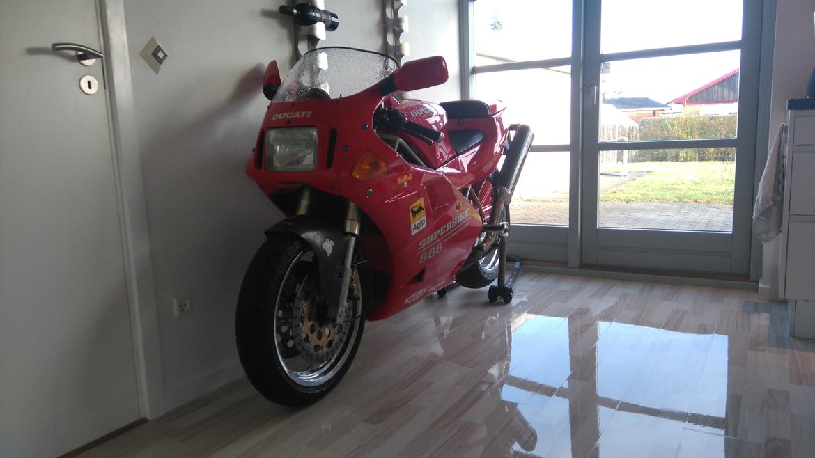 Ducati 888 billede 14