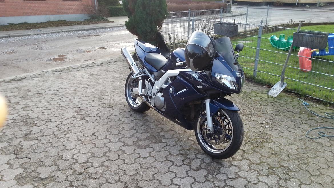 Suzuki Sv 1000 s billede 1