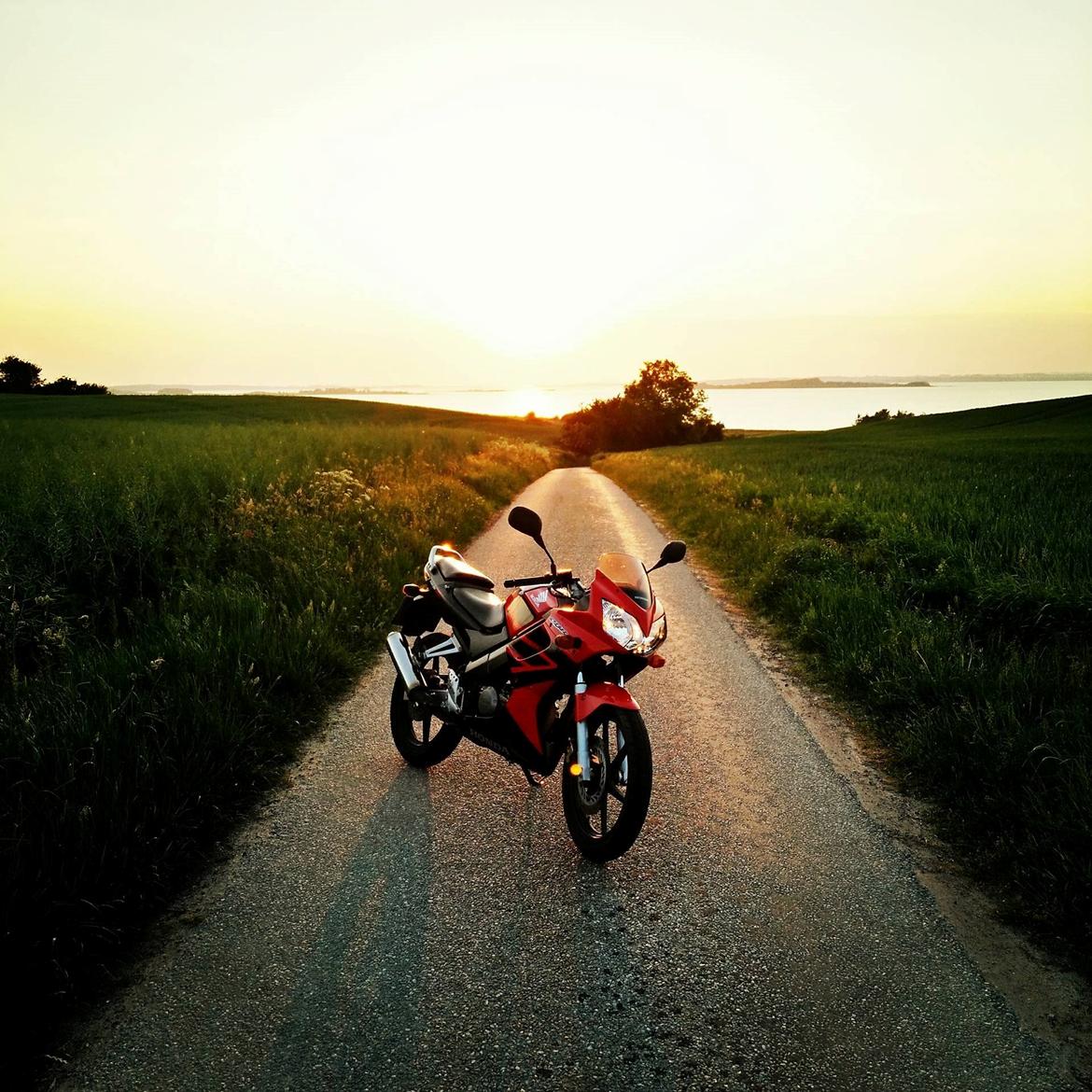 Honda CBR 125r - Sommer aften, med solnedgang billede 11