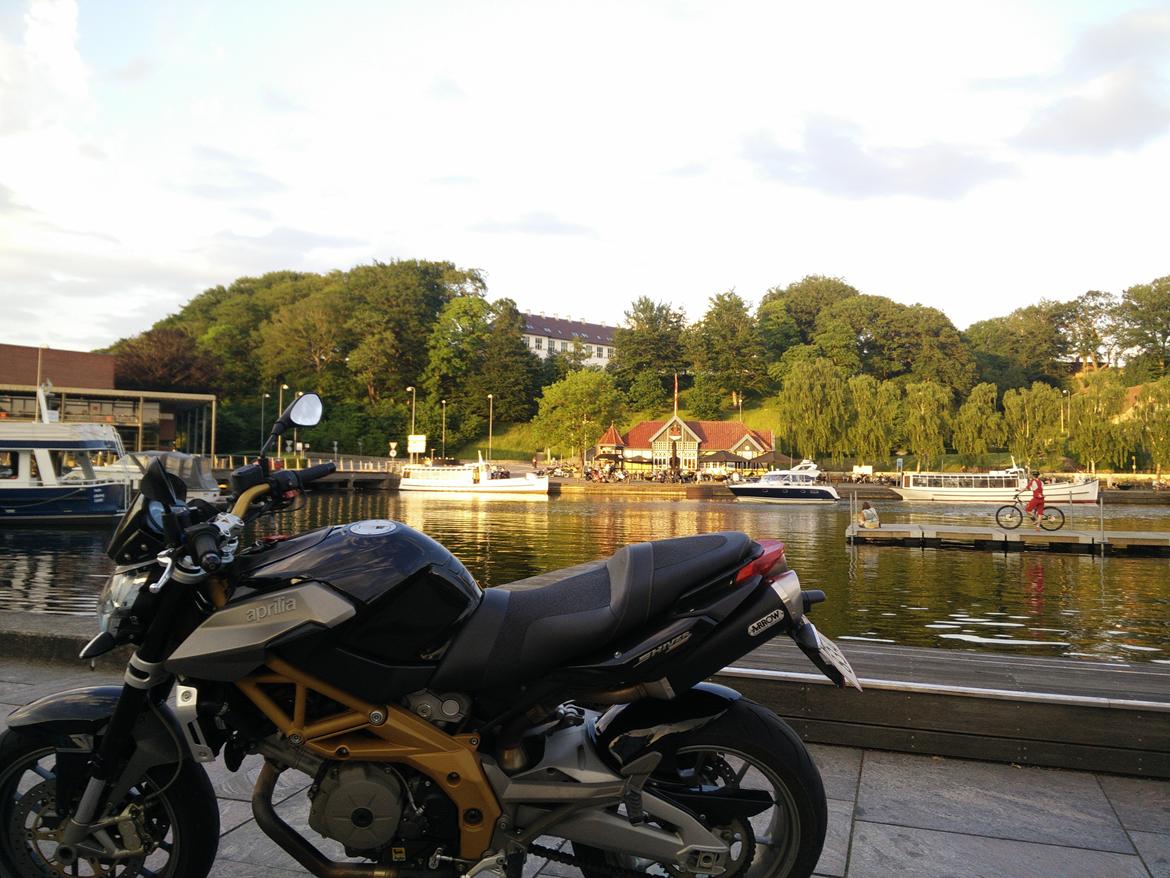 Aprilia Shiver 750 billede 3