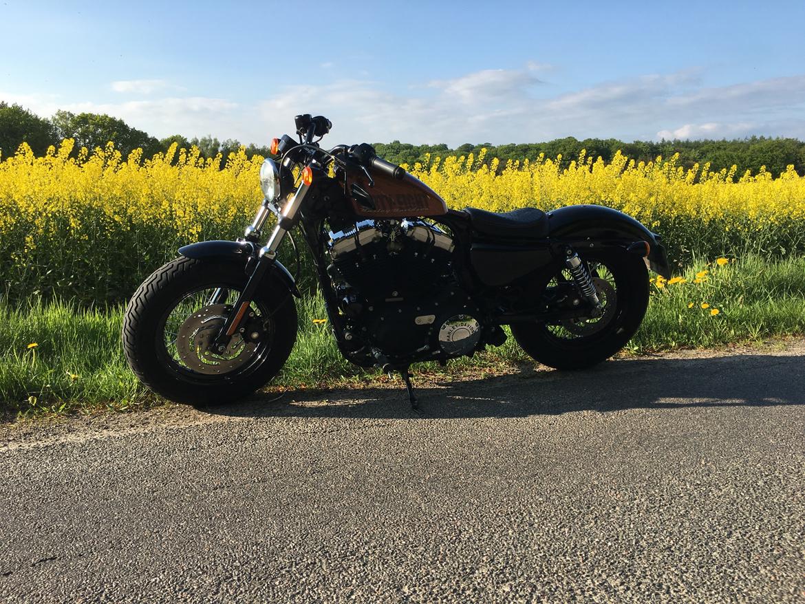 Harley Davidson Sportster XL 1200 Forty Eight billede 13
