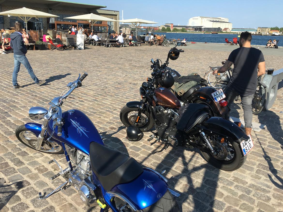 Harley Davidson Sportster XL 1200 Forty Eight billede 8