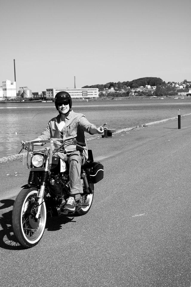 Harley Davidson Sportster, Ironhead billede 4