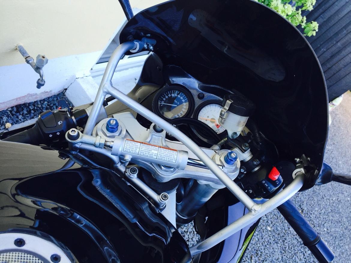 Suzuki TL1000s billede 9