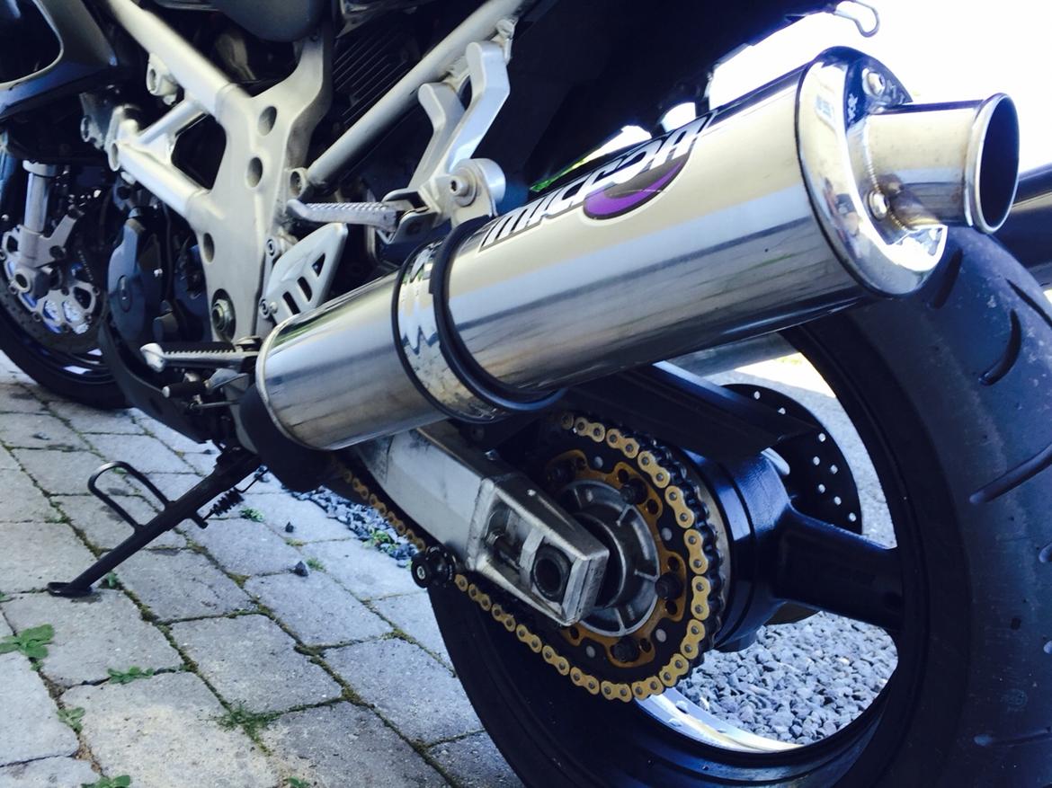 Suzuki TL1000s billede 10