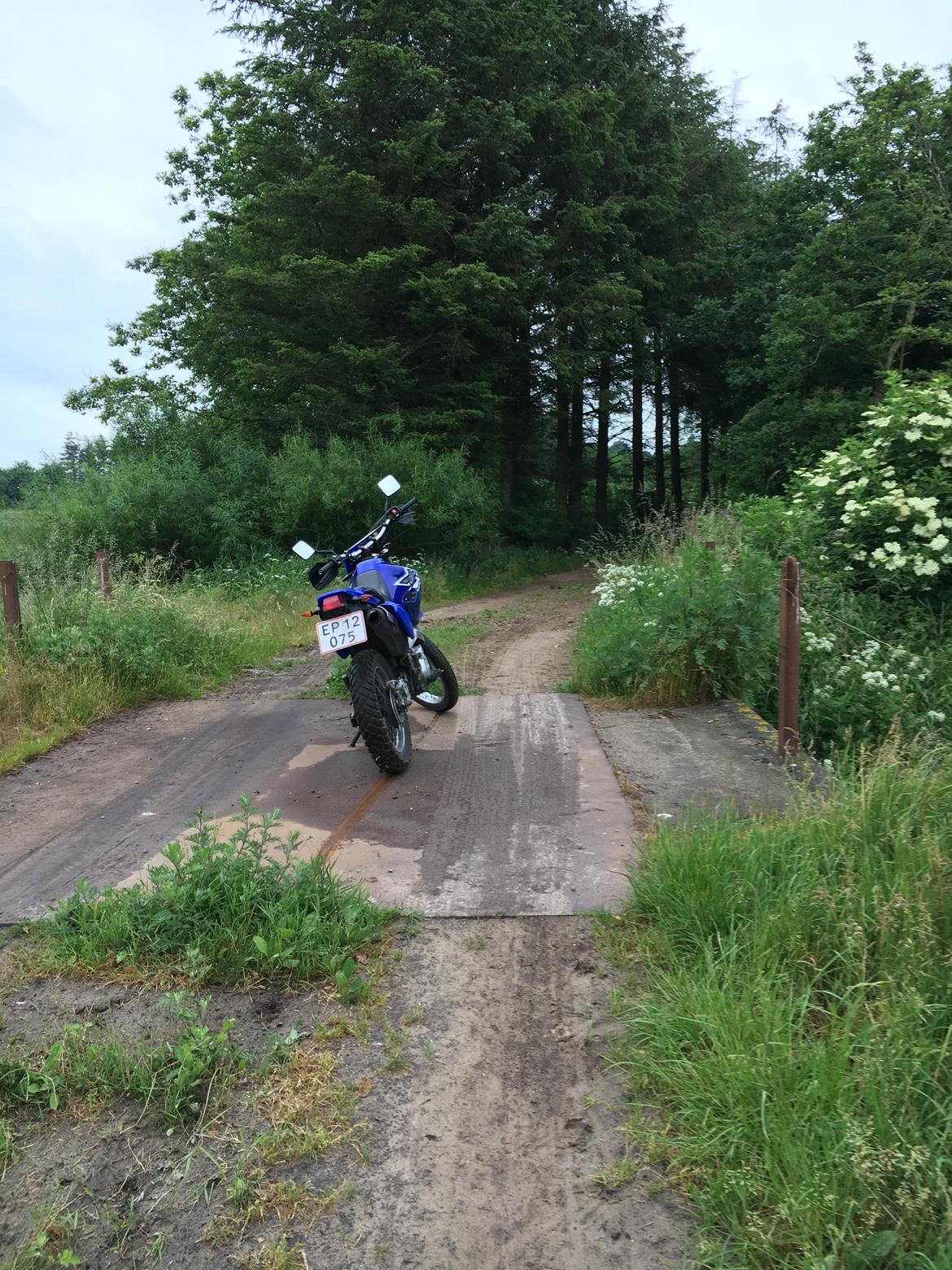 Yamaha XT 600 E billede 4