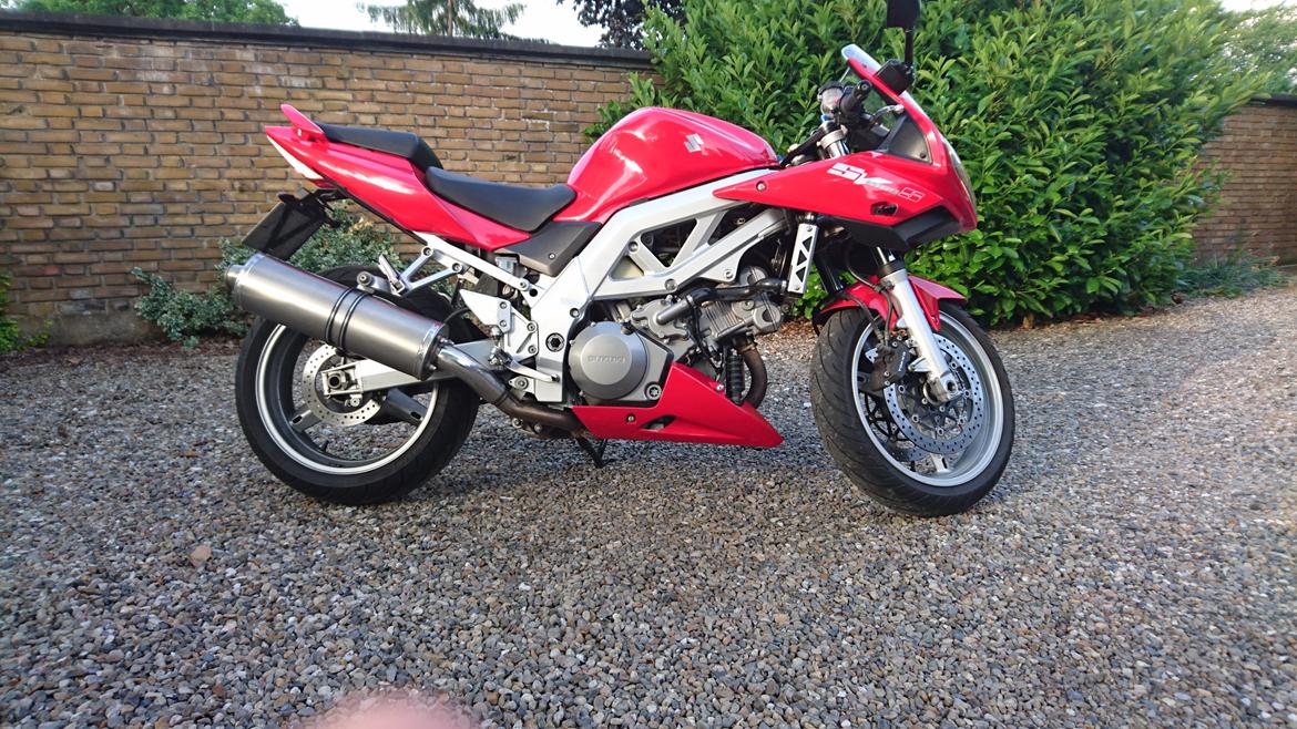 Suzuki SV1000S billede 1