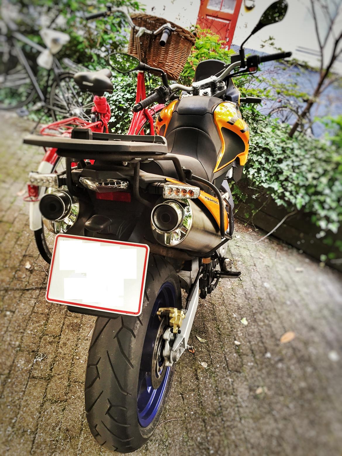 Aprilia Pegaso 650 Strada billede 7