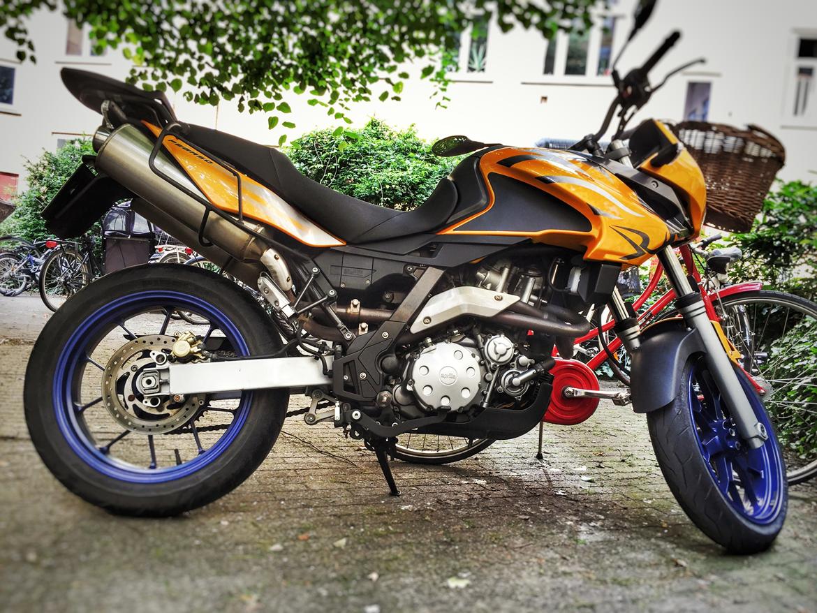 Aprilia Pegaso 650 Strada billede 4