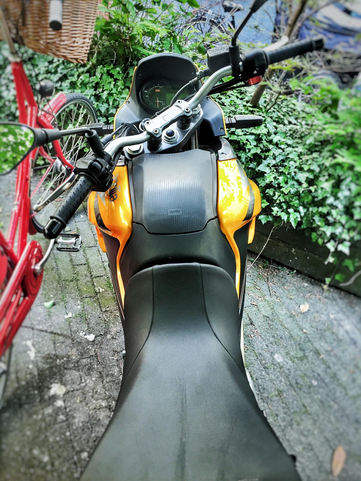 Aprilia Pegaso 650 Strada billede 9