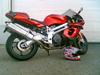 Aprilia *STJÅLET*  SL 1000 Falco [Tidl. motorcykel]