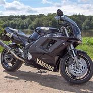 Yamaha FZR 1000 Exup 