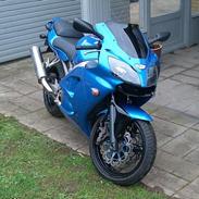 Kawasaki zx6r