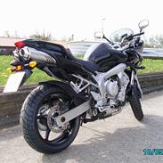 Yamaha FZ6-S Fazer