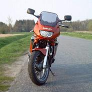 Suzuki GS 500 E