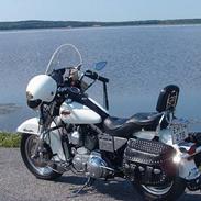 Harley Davidson 1200 Sportster