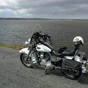 Harley Davidson 1200 Sportster