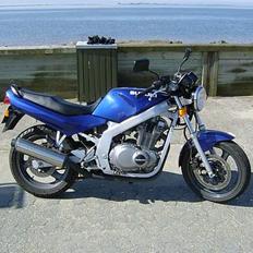 Suzuki GS500E ((SOLGT))