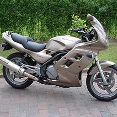 Kawasaki er5