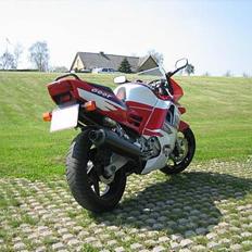 Honda CBR 600 F II SOLGT
