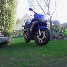 Honda CBR 600 F2 [SOLGT]