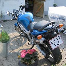 Suzuki SV 650 N
