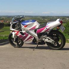 Yamaha TZR125RR Belgarda