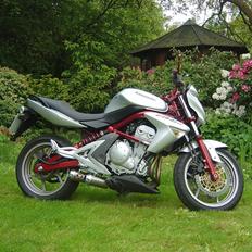 Kawasaki ER6N ( Solgt )