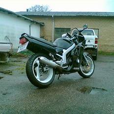 Suzuki Gs 500 E ( Solgt )