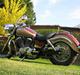 Honda Shadow VT750 SOLGT: