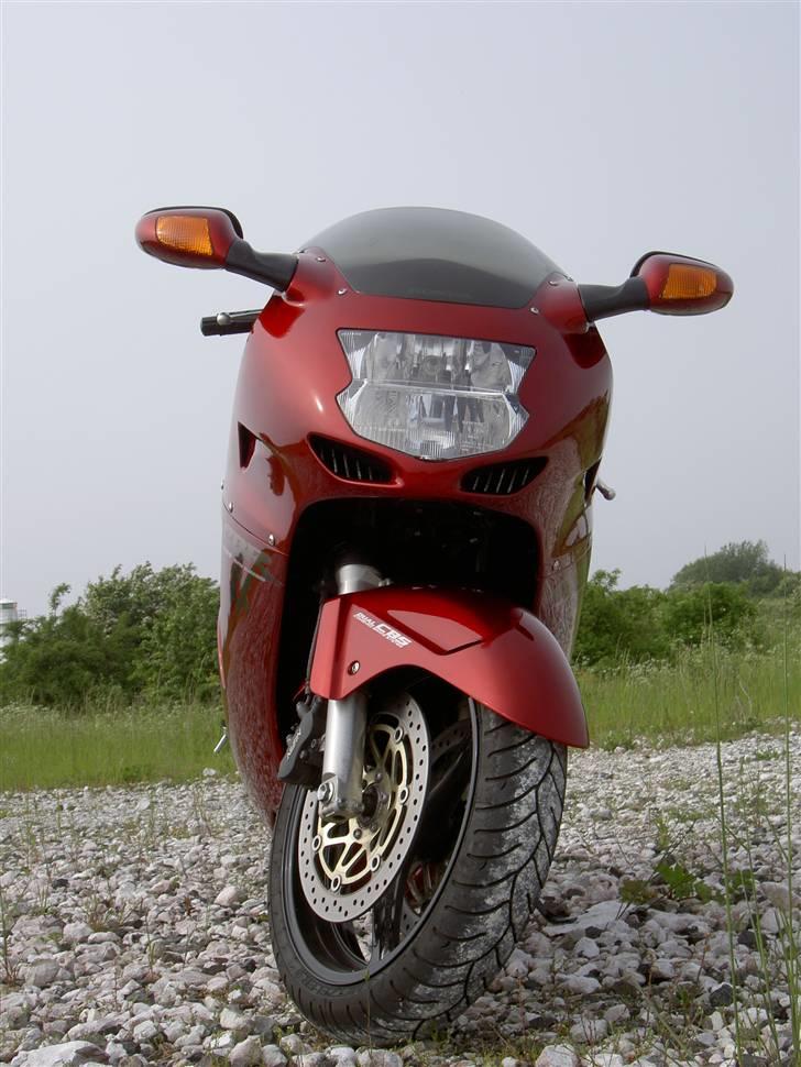 Honda CBR1100XX Gammel MC billede 4