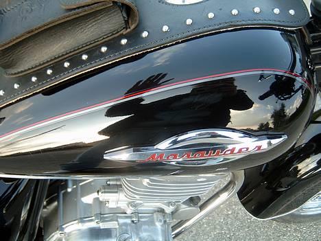 Suzuki Gz 250 Marauder !*SOLGT*! - Close up billede 4