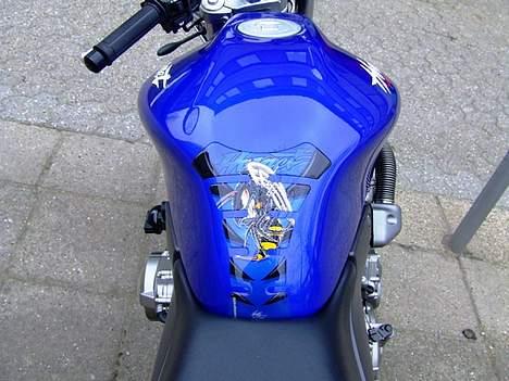 Honda CB 600 F Hornet [SOLGT] - Så blev min tank pad monteret! Den er altså bare immergeil... billede 9
