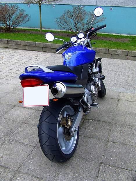 Honda CB 600 F Hornet [SOLGT] - Man kan også få den bagfra :o) Læg mærke til "usynlig" nummerpladeholder og mini-blinkere. billede 10