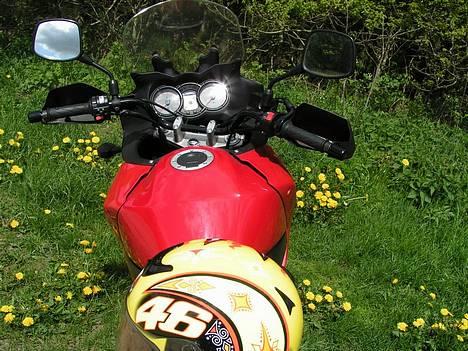 Suzuki dl 650 billede 4