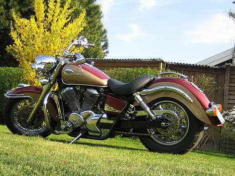 Honda Shadow VT750 SOLGT: - sådan ser den ud den  10/5 07 billede 1