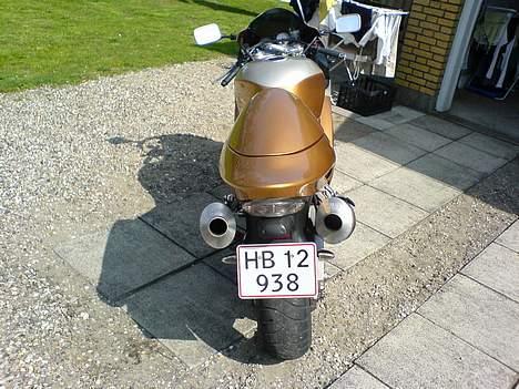 Suzuki TL1000R - søjde mås:-) billede 3