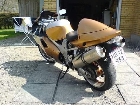 Suzuki TL1000R billede 5