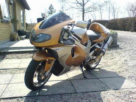 Suzuki TL1000R billede 6