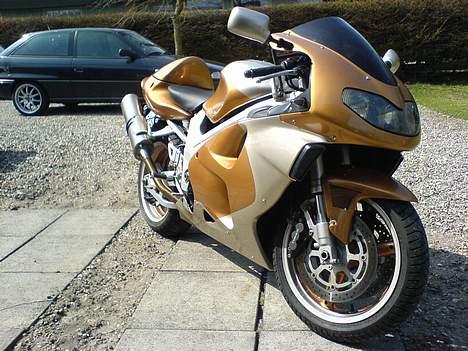 Suzuki TL1000R billede 7