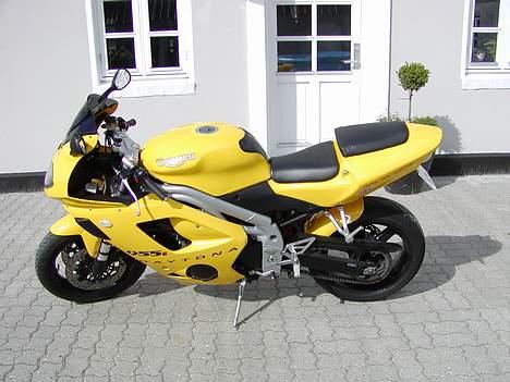 Triumph 955i daytona (solgt) billede 1