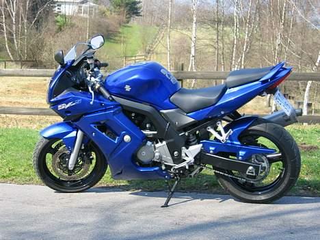 Suzuki sv 650 billede 1