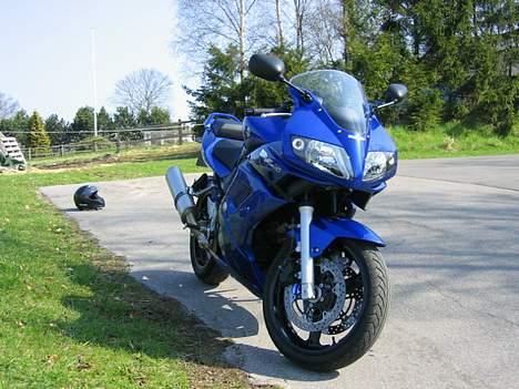 Suzuki sv 650 billede 6