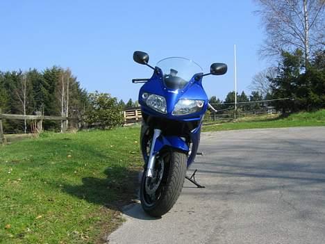 Suzuki sv 650 billede 7