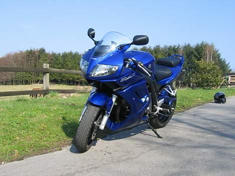 Suzuki sv 650 billede 8