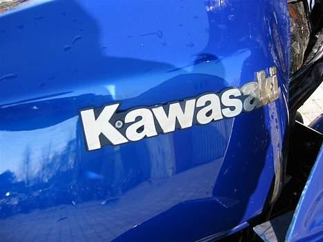 Kawasaki GPZ 550 billede 9
