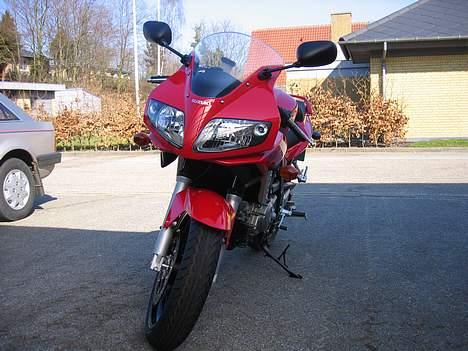 Suzuki sv650s (solgt) billede 3