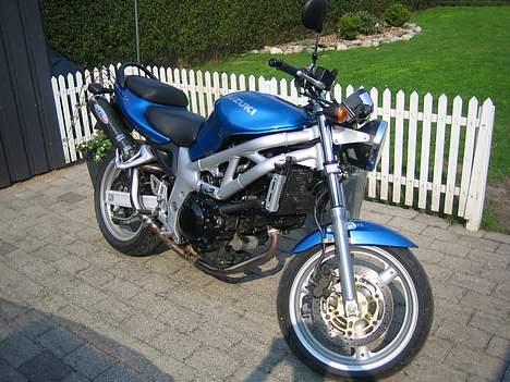 Suzuki SV 650 N billede 1