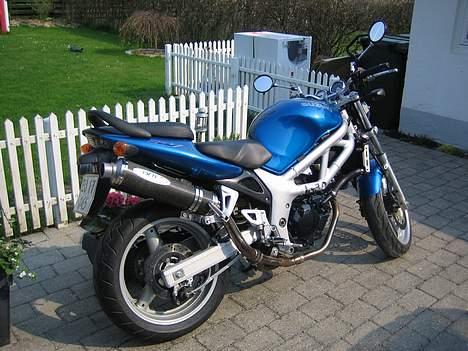 Suzuki SV 650 N billede 2