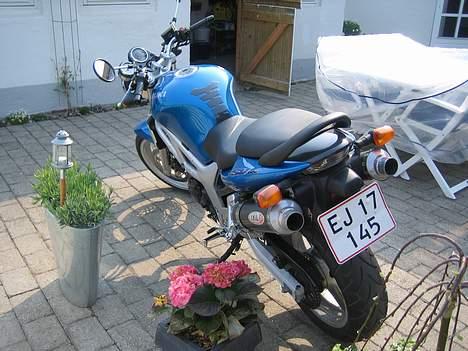 Suzuki SV 650 N billede 3